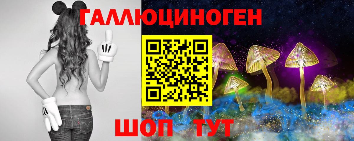 Псилоцибиновые грибы GOLDEN TEACHER Димитровград